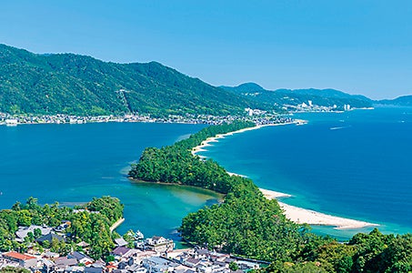 【新千歳発/2泊目ホテルルートイン京都久御山】吉野千本桜・姫路城・天橋立・京都 近畿いいとこどり桜紀行4日間2